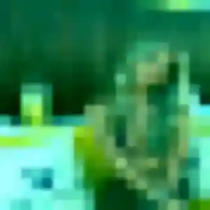 Tawan de Saint-Avé, 27 ans - rencontre japonaise sans prise de tête