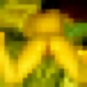 rencontre japonaise à Saint-Brevin-les-Pins : photo de Da-Hye, 43 ans - accès libre