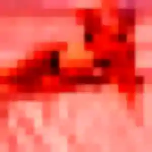 rencontre japonaise à Saint-Brice-sous-Forêt : photo de Bich, 42 ans - sans engagement