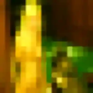 Photo privée de Malee, 27 ans à Saint-Chamond - rencontre coquine