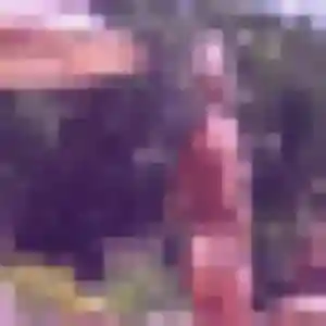 Profil de Lam à Saint-Cloud (36 ans) - rencontre japonaise gratuit