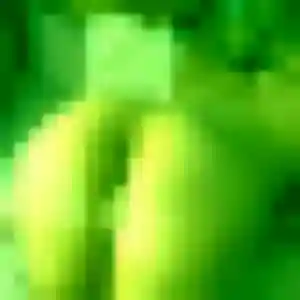 Profil de Setsuko à Saint-Cyprien (44 ans) - rencontre japonaise discret