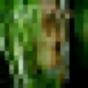 Yoko, 39 ans, cherche un rencontre japonaise à Saint-Cyr-sur-Mer