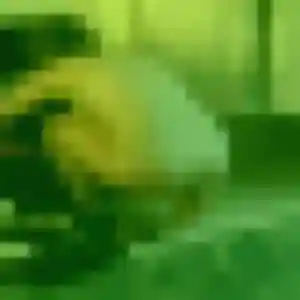 Jolie Suzume, 39 ans à Saint-Dizier - la contacter