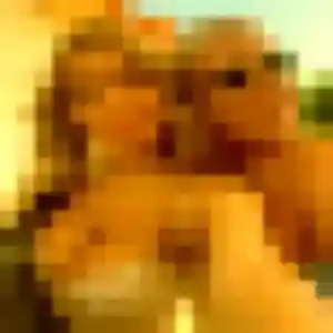 Thu (31 ans) à Saint-Égrève cherche un rencontre japonaise aujourd'hui