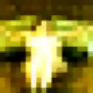 Huong de Saint-Étienne, 38 ans - rencontre japonaise sans prise de tête