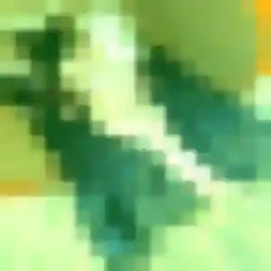 rencontre japonaise à Saint-Germain-en-Laye : profil de Karen, 31 ans - accès libre