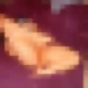 Profil de An à Saint-Gilles (42 ans) - rencontre japonaise gratuit