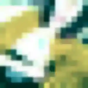 Hanh de Saint-Gilles, 35 ans - rencontre japonaise sans prise de tête