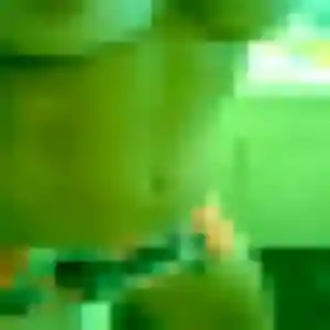 Ratchanee de Saint-Gratien, 31 ans - rencontre japonaise discret