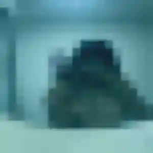 Profil de Asami à Saint-Jacques-de-la-Lande (37 ans) - rencontre japonaise discret