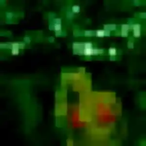 Photo perso de Hong, 32 ans à Saint-Jean-de-Braye - plan discret