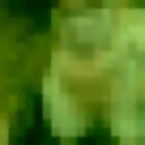 Somjai, 33 ans, en ligne à Saint-Jean-de-Braye pour une rencontre coquine