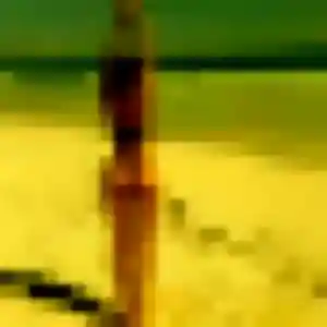 Contacte Miyako, 27 ans à Saint-Jean-de-Védas gratuitement