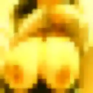 rencontre japonaise à Saint-Jean : photo de Kunthea, 30 ans - inscription gratuite