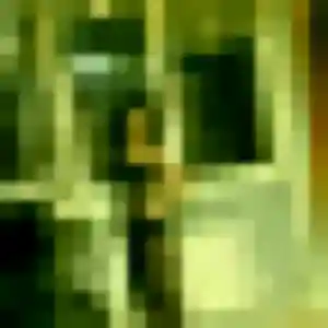 Malee, 40 ans, veut un rencontre japonaise à Saint-Just-Saint-Rambert