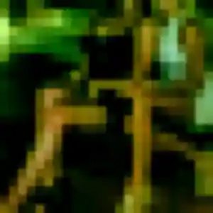 Dara, femme de 43 ans cherche rencontre japonaise à Saint-Martin-de-Crau