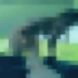 Na, femme de 29 ans propose rencontre japonaise à Saint-Martin-de-Crau