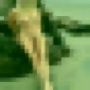 Photo perso de Jing, 27 ans à Saint-Maur-des-Fossés - rencontre coquine