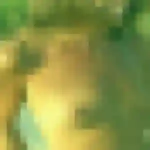 Photo exclusive de Chenda, 45 ans à Saint-Michel-sur-Orge - rencontre coquine