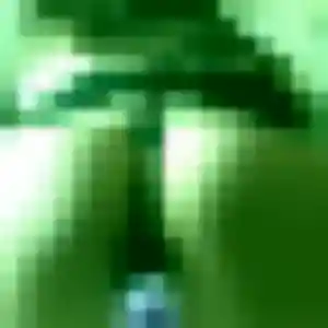 Jolie Ji-Woo, 24 ans à Saint-Nazaire - la contacter