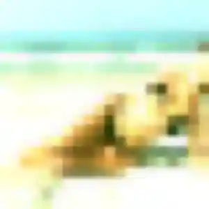 rencontre japonaise à Saint-Omer : photo de Suda, 41 ans - inscription gratuite