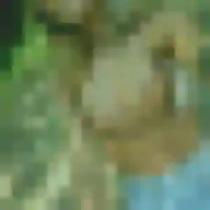 Photo sexy de Busaba, 45 ans à Saint-Orens-de-Gameville - plan discret