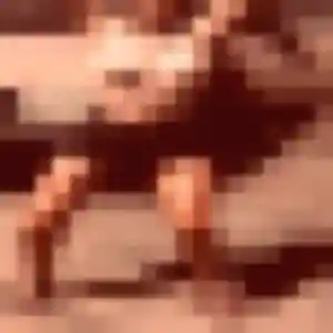 Photo privée de Jing, 28 ans à Saint-Orens-de-Gameville - rencontre sans lendemain