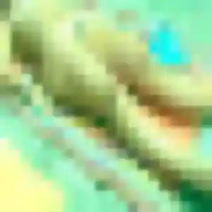 Tomoyo, 38 ans, cherche un rencontre japonaise à Saint-Ouen-l'Aumône