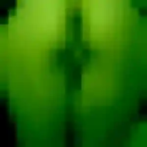 rencontre japonaise à Saint-Paul-lès-Dax : profil de Nhu, 28 ans - inscription gratuite