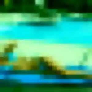 Profil de Fu à Saint-Saulve (30 ans) - rencontre japonaise anonyme