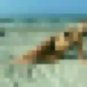 Hua, fille de 32 ans veut rencontre japonaise à Saint-Sébastien-sur-Loire