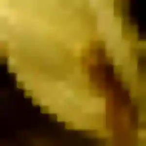 Shizuka de Saint-Sébastien-sur-Loire, 44 ans - rencontre japonaise discret