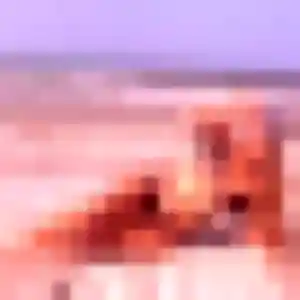 Charmante Risa, 39 ans à Sainte-Geneviève-des-Bois - voir sa photo