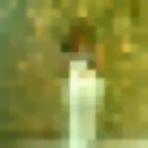 Araya de Sainte-Marie, 40 ans - rencontre japonaise discret
