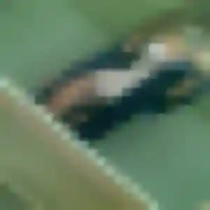 Photo de Thuy à Sainte-Savine (43 ans) - rencontre japonaise anonyme