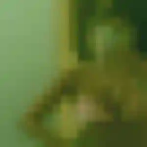 rencontre japonaise à Sainte-Suzanne : profil de Akane, 26 ans - inscription gratuite