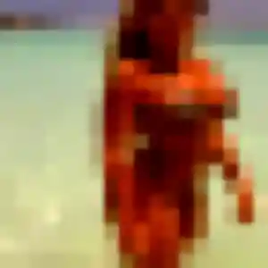 Minami, fille de 28 ans propose rencontre japonaise à Salon-de-Provence