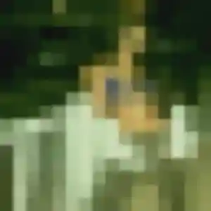 Profil de Fang à Saran (37 ans) - rencontre japonaise gratuit