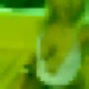 Contacte Suki, 31 ans à Savigny-le-Temple gratuitement