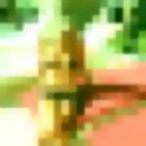 rencontre japonaise à Savigny-le-Temple : profil de Thao, 44 ans - accès libre