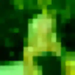 Profil de Maria à Schœlcher (44 ans) - rencontre japonaise anonyme