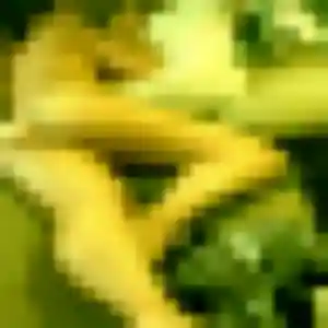 Rencontre Suong, 45 ans à Sélestat gratuitement