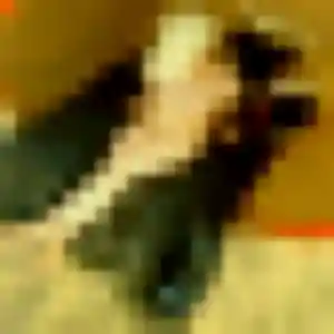 Hikari, 33 ans, dispo pour rencontre japonaise à Senlis