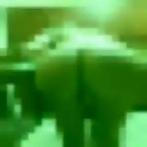 Rejoins Wakana, 37 ans à Septèmes-les-Vallons en t'inscrivant