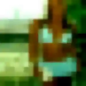 Shizuka, 29 ans, en ligne à Seyssinet-Pariset pour une rencontre coquine