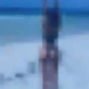 Profil de Fe à Sin-le-Noble (40 ans) - rencontre japonaise anonyme