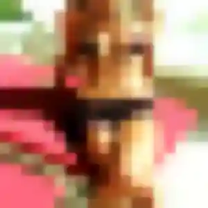 Thao (37 ans) à Sin-le-Noble attend un rencontre japonaise rapidement