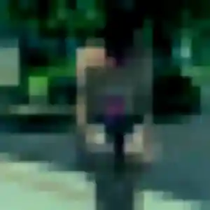 Lian de Six-Fours-les-Plages, 29 ans - rencontre japonaise en toute liberté