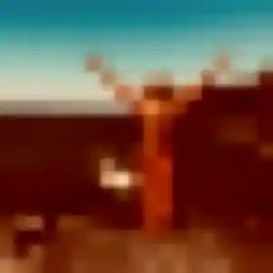 Mai de Solliès-Pont, 31 ans - rencontre japonaise discret